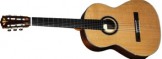 Gitarre1