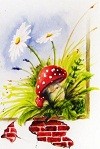 bild_Karte-1